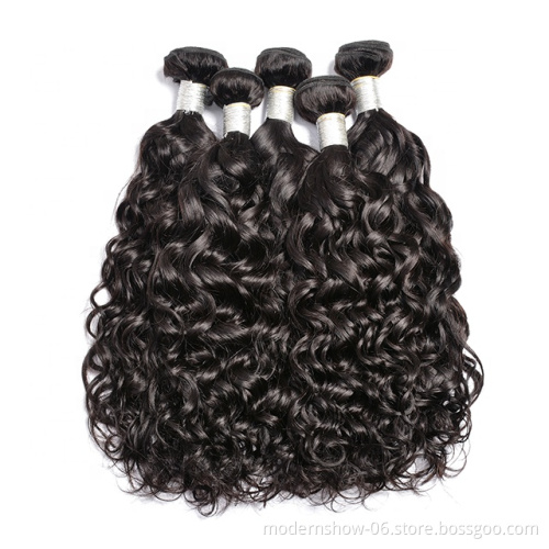 Wet and wavy virgin brazilian human hair bundles,water wave mink bundle hair with lace closure